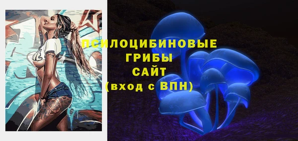 герыч Арсеньев